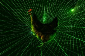A dazzling video shows a quadcopter drone gently shooing unwanted critters away from poultry farms with a laser light show.